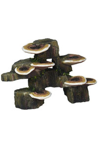 Penn-Plax RR1006 Mushrooms on Rock Aquarium Ornament, Small/6 x 3 x 4.25