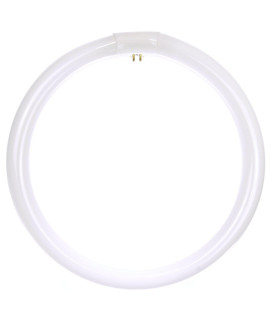 Sunlite Fc12T9cW Fluorescent 32W T9 circline ceiling Lights, 4100K cool White Light, 4-Pin Base