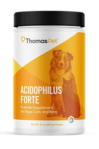 Thomas Labs Acidophilus Forte Digestive Powder, 16-Ounce