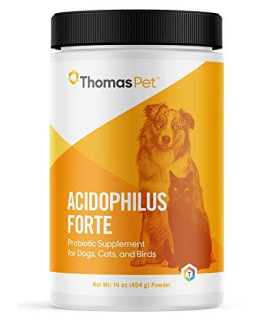 Thomas Labs Acidophilus Forte Digestive Powder, 16-Ounce
