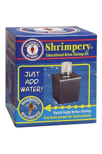 San Francisco Bay Brand Shrimpery Brine Shrimp Kit for Hatching Baby Brine Shrimp