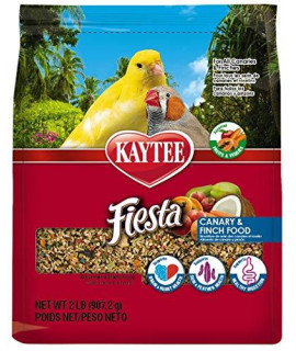 Kaytee Fiesta Canary and Finch Food, 2 Pound Bag