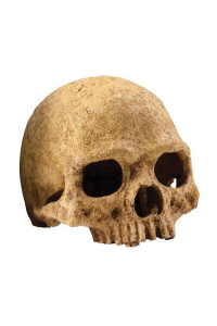 Exo Terra Terrarium Decor Primate Skull