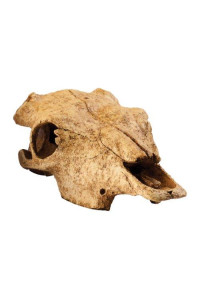 Exo Terra Terrarium Decor Buffalo Skull