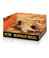 Exo Terra Terrarium Decor Buffalo Skull