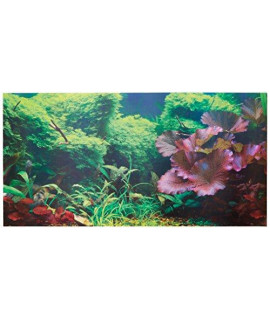 SPORN Aquarium Background, Static Cling, Tropical 36 x 18