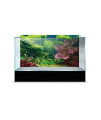 SPORN Aquarium Background, Static Cling, Tropical 36 x 18