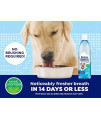 Naturel Promise Fresh Dental Water Additive - Dental Health Solution for Dogs - Easy to Use - Helps Clean Teeth - Freshens Breath Up to 12 Hours - No Brushing Required - 18 Fl Oz, 1 Pack