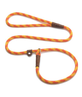 Mendota Pet Slip Leash - Dog Lead and collar combo - Made in The USA - Amber, 12 in x 4 ft - for Large Breeds
