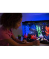 GloFish aquarium Gravel 5 Pounds, Black With Fluorescent Accents, Complements GloFish Tanks