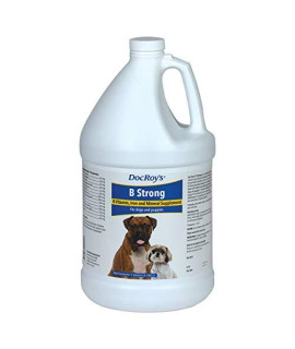Revival Animal Health Doc Roy's B Strong - Gallon Vitamin and Mineral Support for Dogs and Puppies