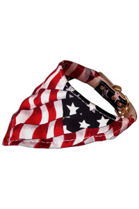 Mirage Pet Products America The Beautiful Bandana Collar for Dogs, 12-Inch, Patriotic