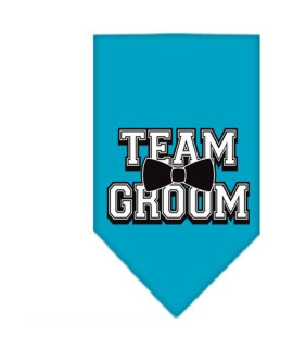 Mirage Pet Products Team groom Screen Print Bandana Small Turquoise