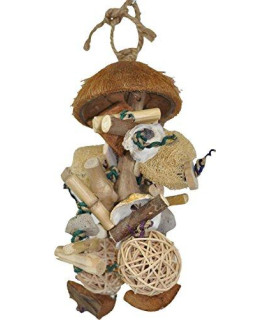 A&E Cage Company 001158 Java Wood Java Bush Bird Toy Assorted, 7X9 in