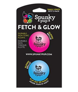 Fetch Ball Small 2 Count (Pack of 1), (Assorted)