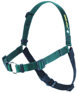 Sense-ation No-Pull Dog Harness (green Medium) by Sense-Ation Harness