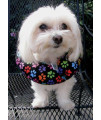 Puppy Bumpers Keep Your Dog on The Safe Side of The Fence - Rainbow Paw (up to 10)