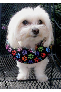 Puppy Bumpers Keep Your Dog on The Safe Side of The Fence - Rainbow Paw (up to 10)