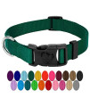 Country Brook Petz - 25+ Vibrant Colors - American Made Deluxe Nylon Dog Collar with Buckle (Large, 1 Inch Wide, Green)