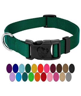 Country Brook Petz - 25+ Vibrant Colors - American Made Deluxe Nylon Dog Collar with Buckle (Large, 1 Inch Wide, Green)