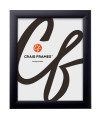 craig Frames 16x20 Picture Frame contemporary 1 Premium Matte Black (1WB3BK) Durable High clarity Plexiglass