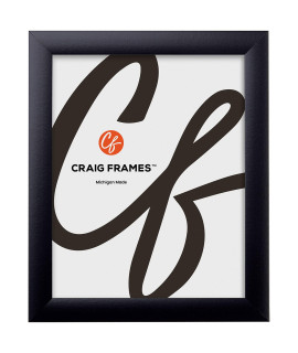 craig Frames 16x20 Picture Frame contemporary 1 Premium Matte Black (1WB3BK) Durable High clarity Plexiglass