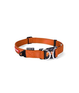 EzyDog Double Up Premium Nylon Dog Collar with Reflective Stitching - Double D-Rings for Superior Strength, Safety, and Comfortability - Non-Rusting and Includes an ID Attachment (Large, Orange)