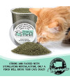 From The Field 6-Ounce Catnip Kitty Safe Stalkless Tub