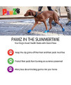 PawZ Dog Boots | Rubber Dog Booties | Waterproof Snow Boots for Dogs | Paw Protection for Dogs | 12 Dog Shoes per Pack (Medium)