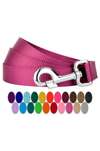 country Brook Petz - 1 Inch Solid color Nylon Dog Leash - Durable clip - Soft Handle (1 Inch Wide, 6 Foot, Rose)