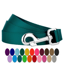 country Brook Petz - 1 Inch Solid color Nylon Dog Leash - Durable clip - Soft Handle (1 Inch Wide, 6 Foot, Teal)