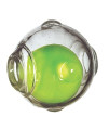 Chase n Chomp Amazing Squeaker Ball Toy for Pets, Clear, 3.5 Inch