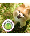 Chase n Chomp Amazing Squeaker Ball Toy for Pets, Clear, 3.5 Inch