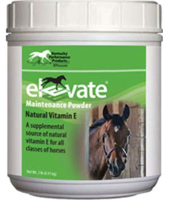 Kentucky Performance Prod 044097 Elevate Maintenance Powder Supplement for Horses, 2 lb