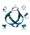 2 Hounds Design Freedom No Pull Dog Harness | Adjustable Gentle Comfortable Control for Easy Dog Walking | for Small Medium and Large Dogs | Made in USA | Leash Not Included | 1" LG Teal