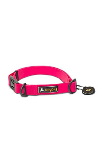 OllyDog Tilden Collar, Waterproof Dog Collar, Coated Stink-Proof Webbing, Easy to Clean with Side-Release Buckle, Great for Water-Loving Dogs, (Medium, Pink)