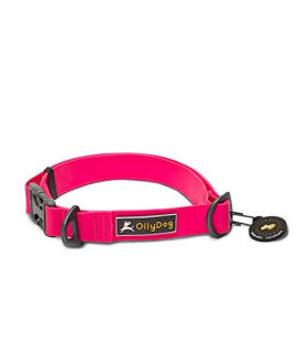OllyDog Tilden Collar, Waterproof Dog Collar, Coated Stink-Proof Webbing, Easy to Clean with Side-Release Buckle, Great for Water-Loving Dogs, (Medium, Pink)