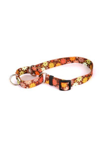 Autumn Flowers Martingale Control Dog Collar - Size Medium 20 Long - Made In The USA