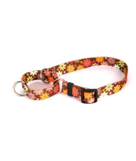 Autumn Flowers Martingale Control Dog Collar - Size Medium 20 Long - Made In The USA