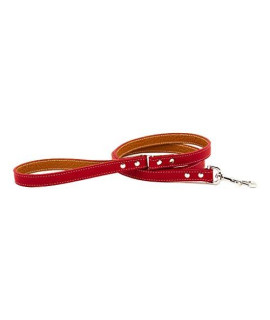 Auburn Leathercrafters Tuscany Dog Leash Size: 0.5 x 48 color: Red