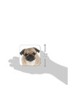 Little Gifts Coasters, Pug