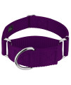 country Brook Petz - Wide Dog collar, Adjustable for Large Breed - Martingale Solid Nylon Dog collar (Extra Large, 1 12 Inch Wide, Purple)