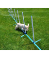Agility Weave Poles Adjustable 6 Pole Set with Carrying Case and Grass Stakes