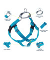 2 Hounds Design Freedom No Pull Dog Harness | Adjustable Gentle Comfortable Control for Easy Dog Walking |for Small Medium and Large Dogs | Made in USA | Leash Included | 1" XL Turquoise