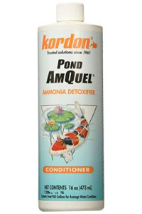 KORDON 31016 Pond AmQuel Liquid for Aquarium, 16-Ounce