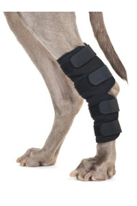 Back on Track Therapeutic Dog Rear Leg/Hock Brace (Pair) Large 8.75-Inch Length, 6.75 to 7.8-Inches Top Width, 5.1 to 6.25-Inches Bottom Width with 4 Adjustable Straps