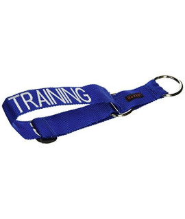 Training Blue Color Coded L XL Non Pull Dog Harness with Extra Front D Ring Prevents Accidents by Warning Others of Your Dog in Advance