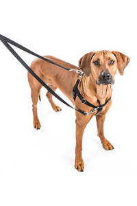 2 Hounds Freedom No-Pull Dog Harness Training Package: Velvet Padding, Multi-Function & USA Made! (Leash Included), Medium (5/8? Wide), Green