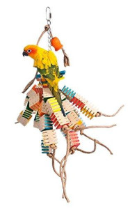 Zoo-Max Groovy Gizmo Bird Toy