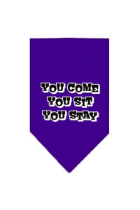 Mirage Pet Products You come You Sit You Stay Screen Print Bandana Small Purple